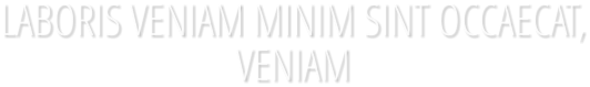 LABORIS VENIAM MINIM SINT OCCAECAT, VENIAM